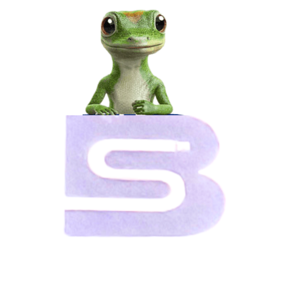 Logo SB Informatic